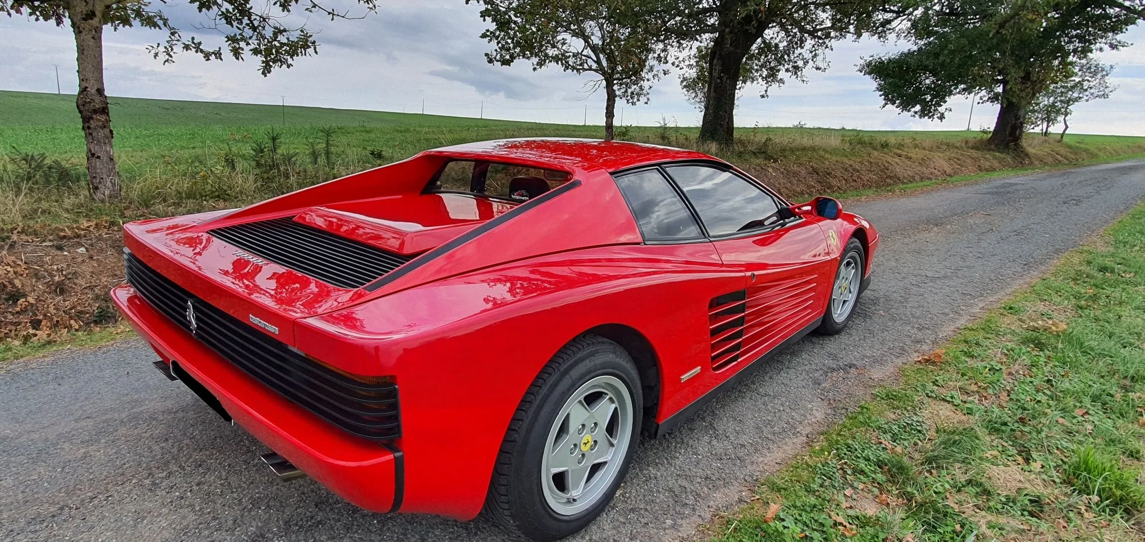 TESTAROSSA11