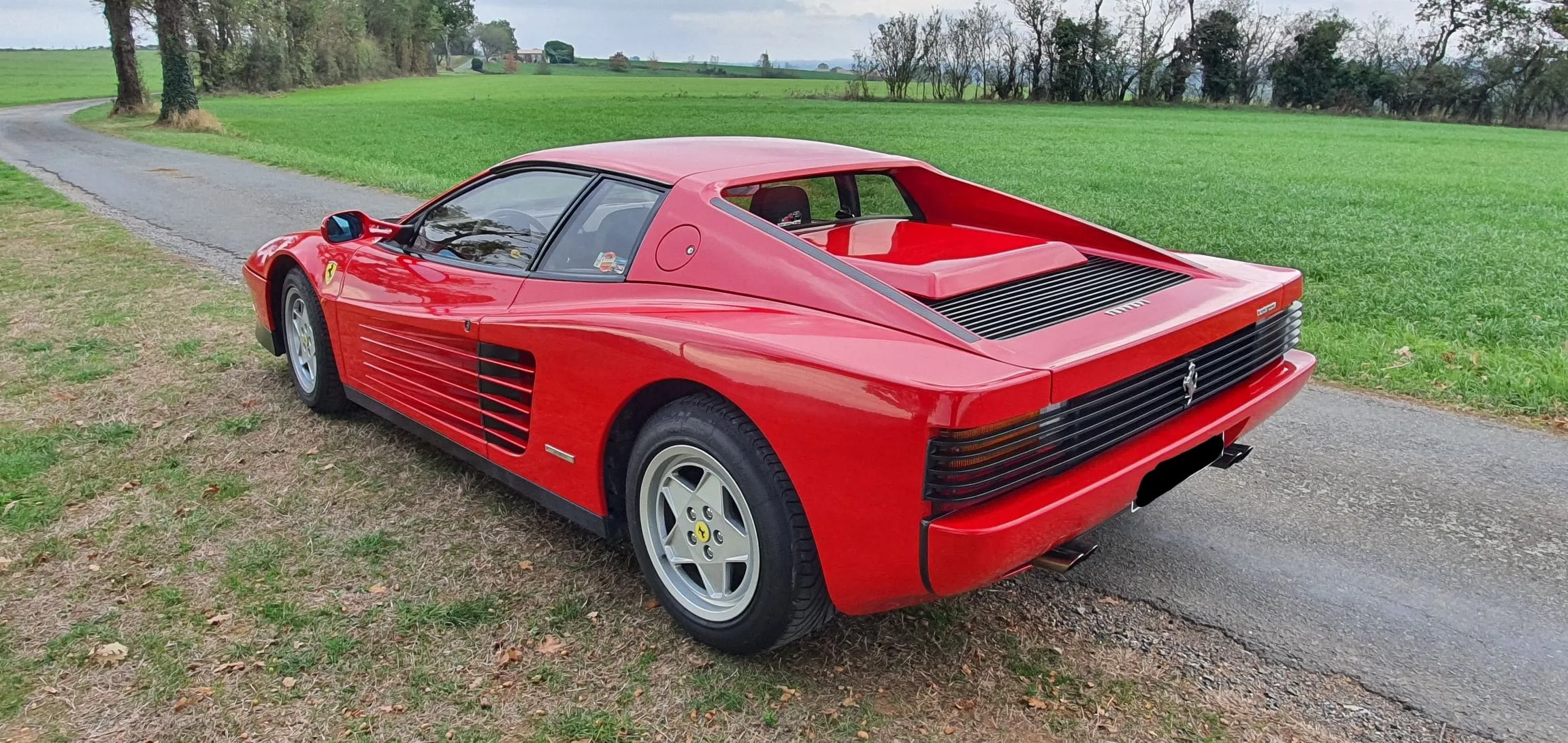 TESTAROSSA13