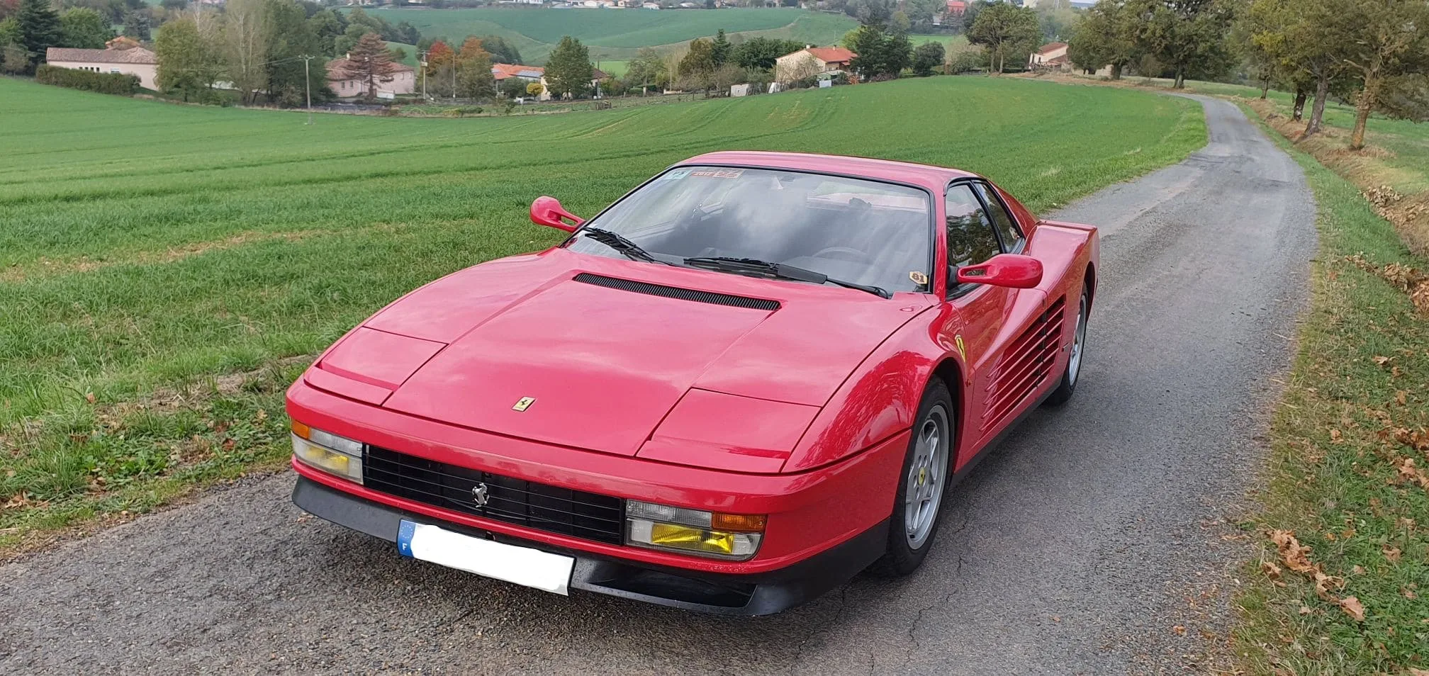 TESTAROSSA2