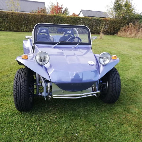 BUGGY11