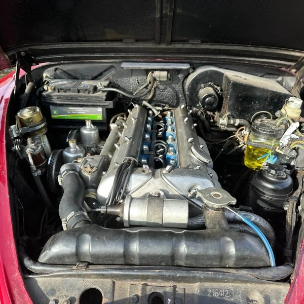IMG-20240408-WA0017